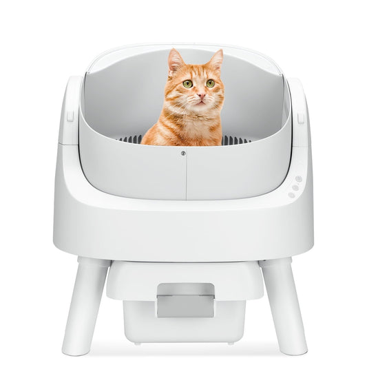 Smart Kitty Litter Solution